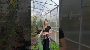 Как выбрать теплицу.