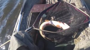 Отличный выезд, Охота и Рыбалка в Калмыкии