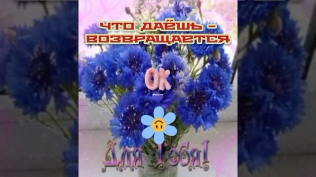 Cut_YouCut_20260121_165814178.mp4 смотреть онлайн