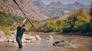 Глушим рыбу, рыбалка при помощи акустических звуков.