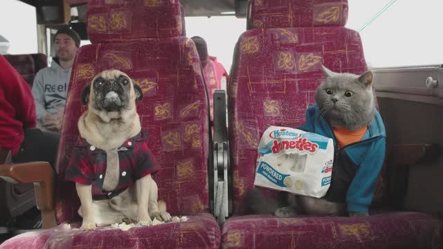 ПУТЕШЕСТВИЕ КОТА И СОБАКИ//ЗАБАВНЫЕ КАНИКУЛЫ смотреть онлайн