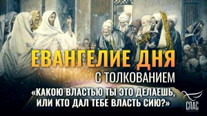 «Какою властью Ты это делаешь, или кто дал Тебе власть сию?» / Евангелие дня