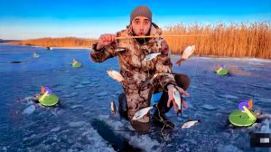 Зимняя рыбалка на Экраны и Жерлицы. Кто то проверил жерлицы и украл щуки