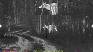 Ovod H50 LRF, охота на оленя .mp4