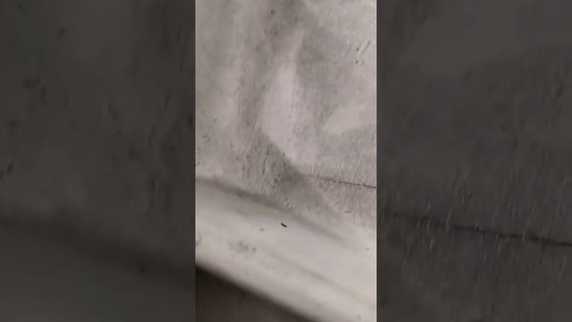 ☝️ZEEKR подъехал кого там обогнать надо😆😆😆 смотреть онлайн