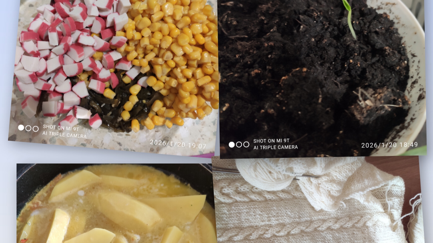 Начала вязать рукава у свитера, приготовила кушать. Пророс огурчик.20-21.01.2026 г. смотреть онлайн