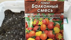 Дети играют в хоккей, сею горшечные томаты в январе 🍅