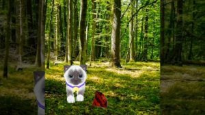 можно 1 под пожалуйста🙏