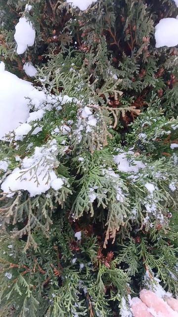 Зима прекрасна. Радуемся каждой минутке. смотреть онлайн
