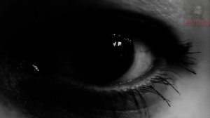 ИЗ РАКОВИНЫ ... Страшные истории на ночь 🫣🫣🫣