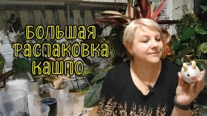 Большая распаковка кашпо для комнатных растений