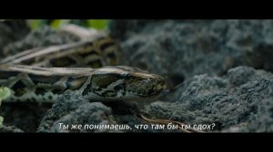 На помощь Русский трейлер #2