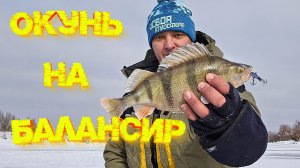 РЫБАЛКА со льда 2026! ОТКРЫТИЕ СЕЗОНА 👍 Окунь на БАЛАНСИР 💪