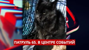 ПАТРУЛЬ 65. Обгон на «зебре», пожар на балконе и спасение кота. Происшествия Сахалина 21.01.26