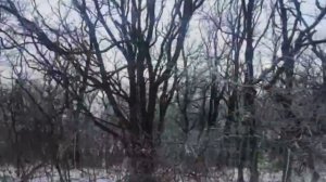 Z6093 Ставрополь г, ДНТ Приозерное тер, Вишневая ул., участок