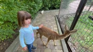 Ангелина привела к Люсе ДРУЗЕЙ и принесла своим любимым друзьям кучу огурчиков)))