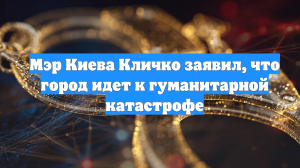 Мэр Киева Кличко заявил, что город идет к гуманитарной катастрофе