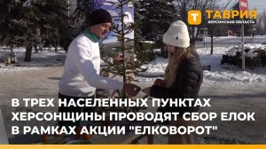 В трех населенных пунктах Херсонщины проводят сбор елок в рамках акции "Елковорот"