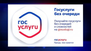 Выписка по транспортным средствам