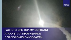 Расчеты ЗРК ТОР-МУ сорвали атаку БПЛА противника в Запорожской области