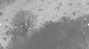 Охота на медведя, 760м, Lesnik 2 660 Pro .mp4