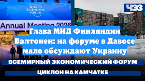 Глава МИД Финляндии Валтонен: на форуме в Давосе мало обсуждают Украину