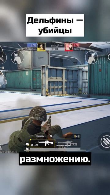 Дельфины - убийцы смотреть онлайн