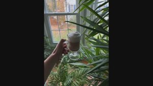 Поездка в США 2025, из Казани ч.4 водопады.