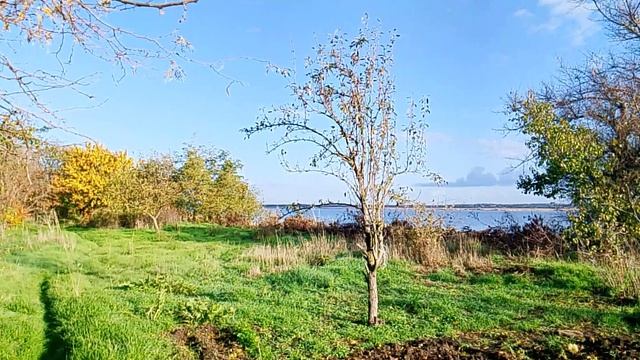 Природа 2025 «Живописный вид на лиман» ✅📌 📍 смотреть онлайн