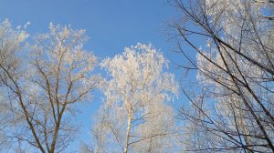 СП "Температурный плед с Катериной Шурм" Сказочный январь.