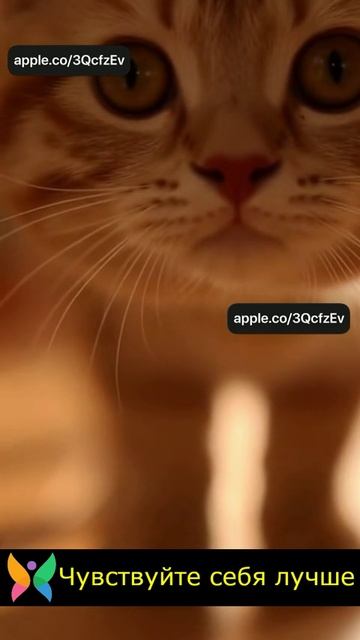 Иногда нужно просто сделать паузу. 