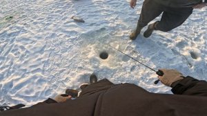Первая рыба со льда. Как поймать рыбу, если приехал на пруд с одной блесной ))