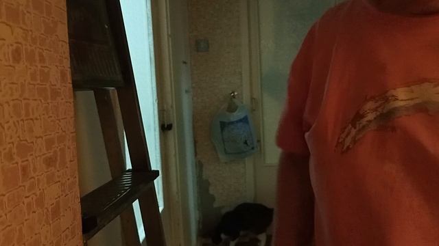 Моя Болтовня 😅 смотреть онлайн