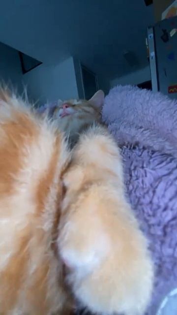 На чилле смотреть онлайн