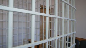 ДЕЛО О ПРИСВОЕНИИ