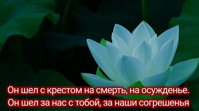 Любовь сошла с небес! смотреть онлайн