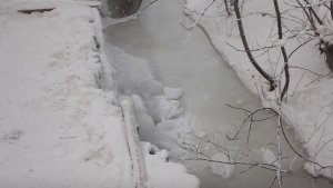 РЕКА ВЫШЛА ИЗ БЕРЕГОВ