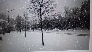 Рыма Чек, Люба-Мукбанг Ситцевая- тандем пустых женщин