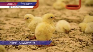 В 2025 году 30 работников агропромышленного комплекса Нижегородской области получили по 2 млн рублей