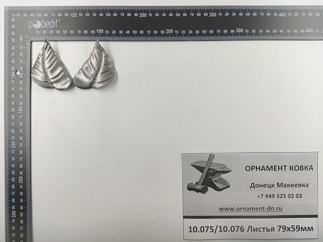 10.076 Лист 79х56х1,5