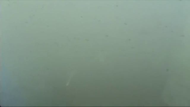 Бальзам на душу