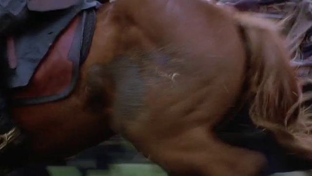 Последний самурай.Атака смертников,последняя атака самураев.