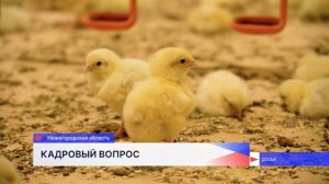 В 2025 году 30 работников агропромышленного комплекса Нижегородской области получили по 2 млн рублей