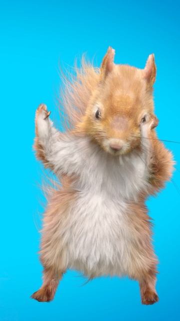 Синий трактор - Песенка про цвета смотреть онлайн