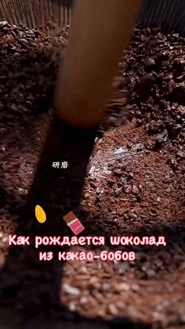 Как рождается шоколад из какао бобов смотреть онлайн
