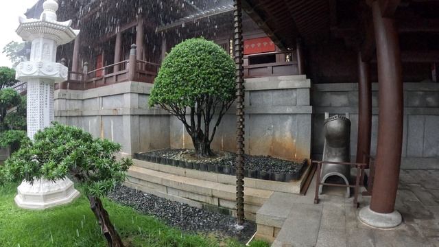 Гонконг. Монастырь Чилинь. Дождь. смотреть онлайн