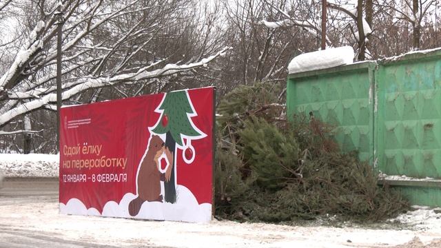 Сдал ёлку – помог природе. В округе идёт ежегодная экологическая акция смотреть онлайн