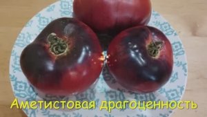 Каталог  томатов на  2026 год. Часть 1. г. Киров т.89229284031