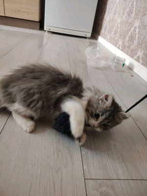 Я у Карины и Вики