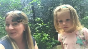 ВЛОГ с мамой： Огромная гусеница и САД БАБОЧЕК ⧸ВИДЕО ДЛ